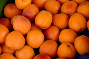 Abricots : bienfaits, histoire et utilisations culinaires