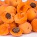 Abricots : bienfaits, histoire et utilisations culinaires