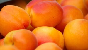 Abricots : bienfaits, histoire et utilisations culinaires